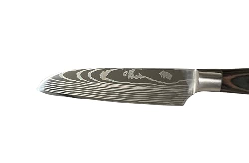 Damascus Steel Kitchen Knife Set of 5 O7210