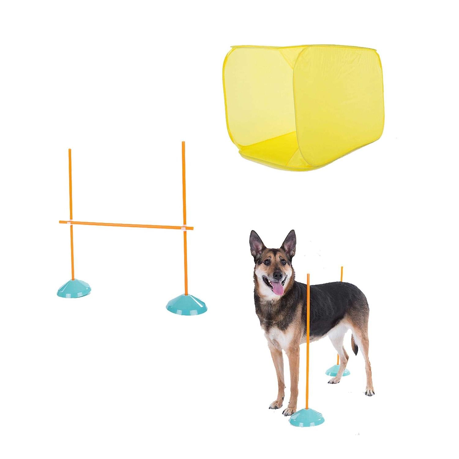 Outward Hound Indoor Dog Agility Kit Y297002