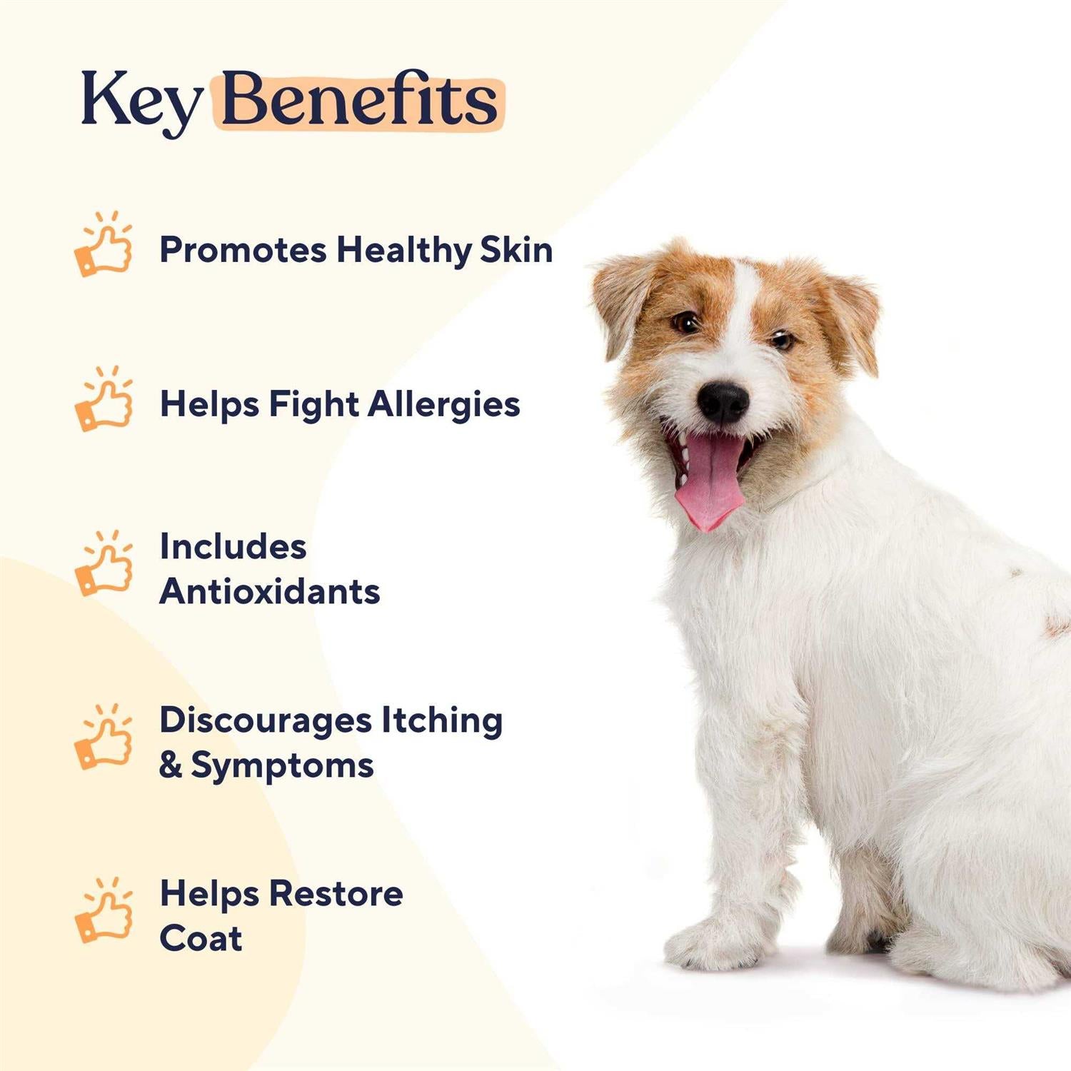 Pawfy Skin & Coat Soft Chews F28955