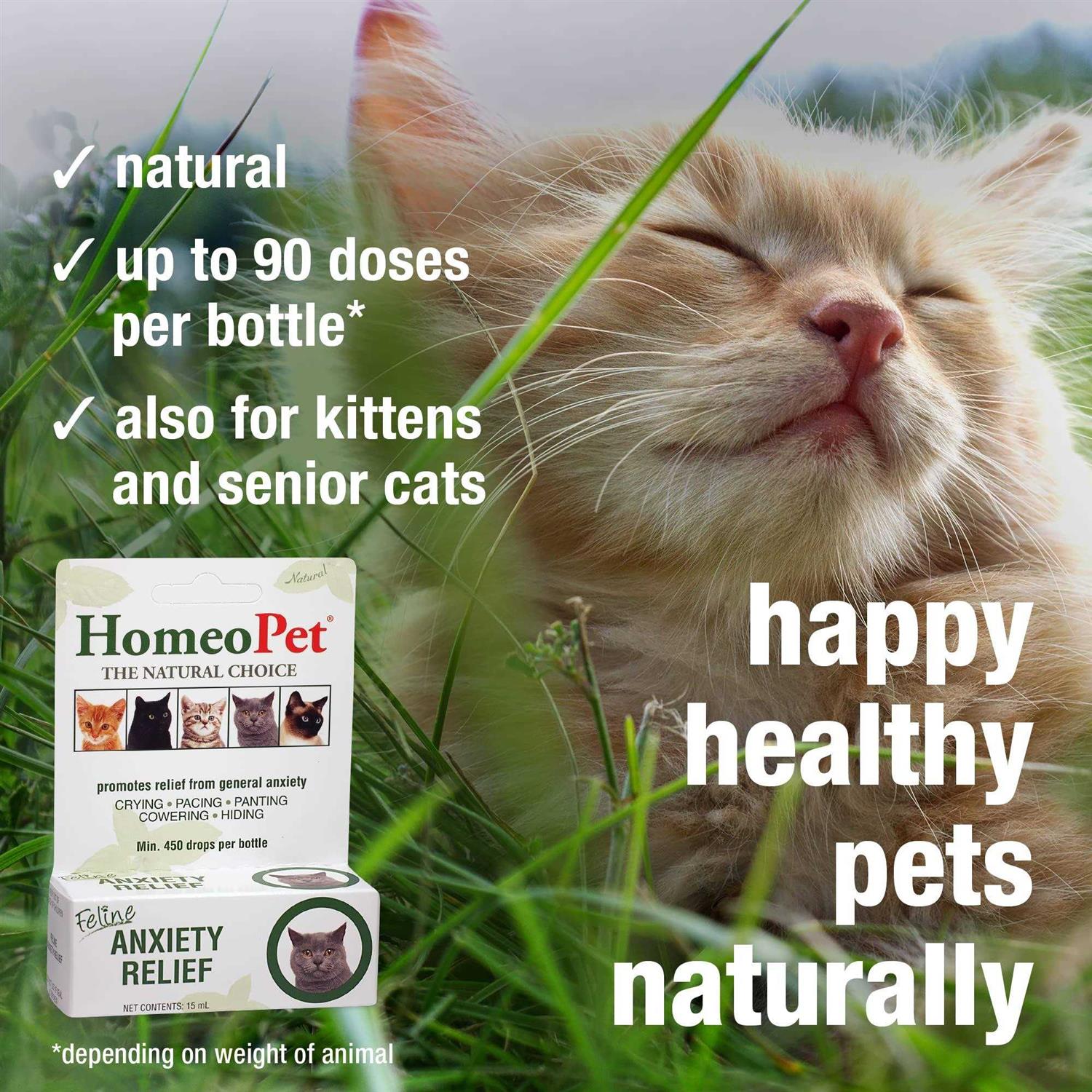 HomeoPet Feline Anxiety Relief W686036