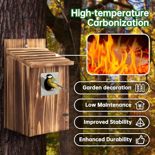 2 Pack Bird Houses for Outside with Metal Predator Guard, Carbonized Wooden Nesting Boxes G2616
