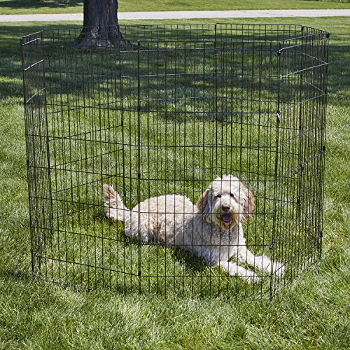 New World Folding Metal Dog Exercise Pen, 24-Inch Tall, Black E-Coated Q53206