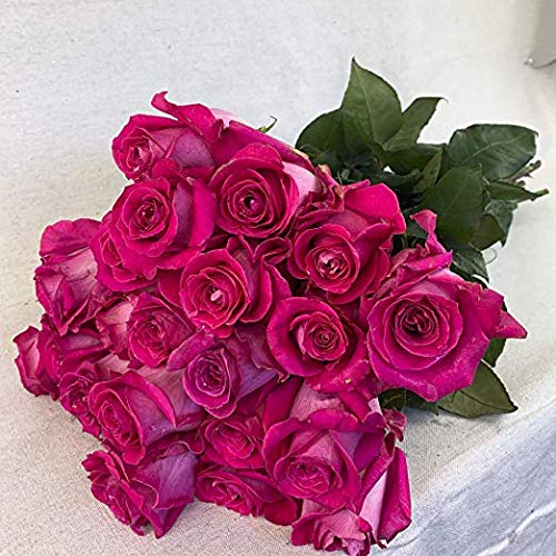 Fresh Cut 24 Red Roses Bouquet - 20" Long Stems R443599