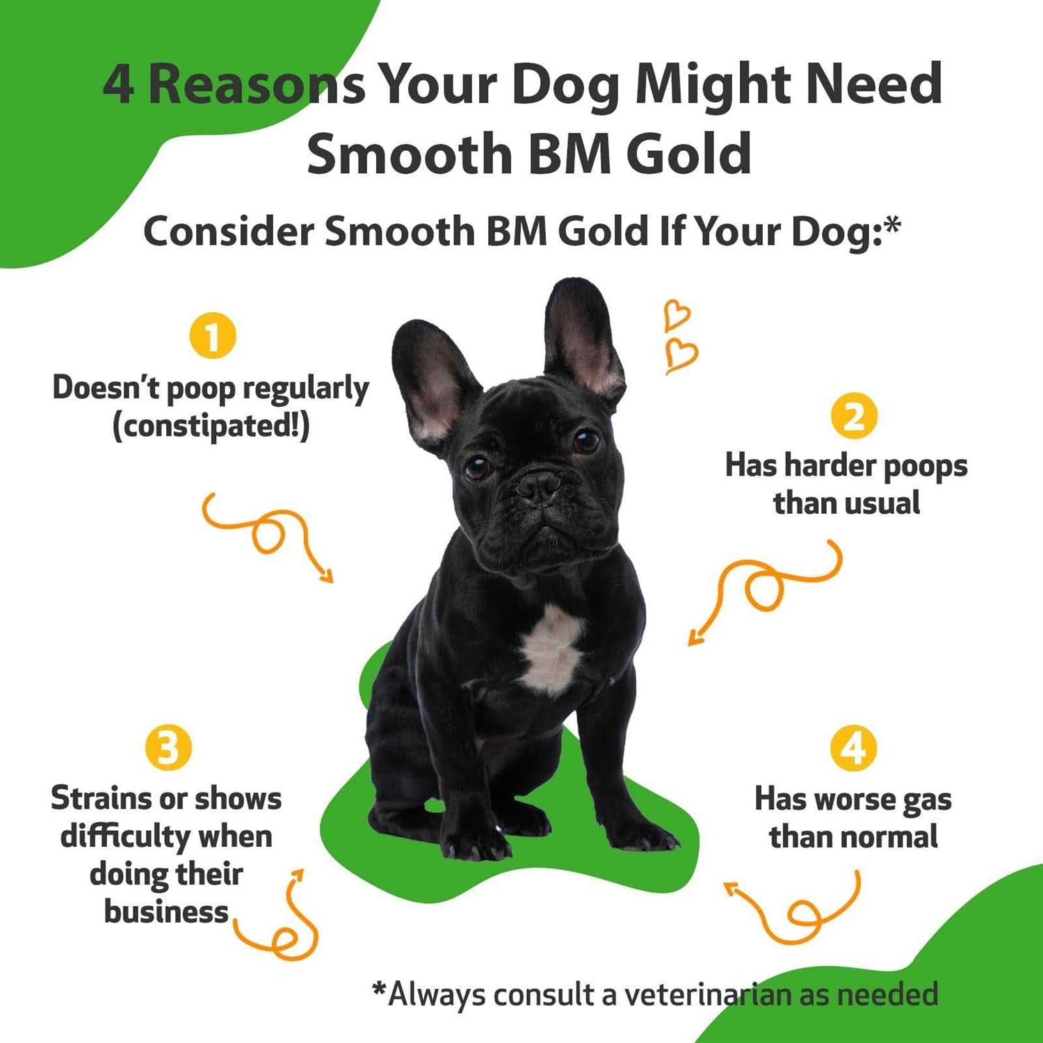 Pet Wellbeing Smooth BM Gold for Pets S244349