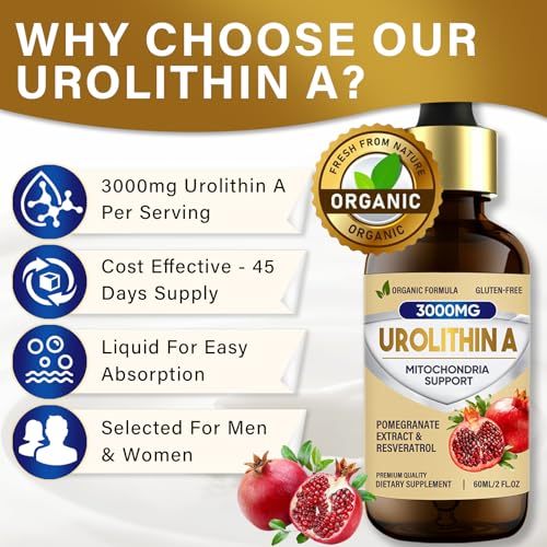 Urolithin A Supplement 1000mg, 90 Softgels Q2242