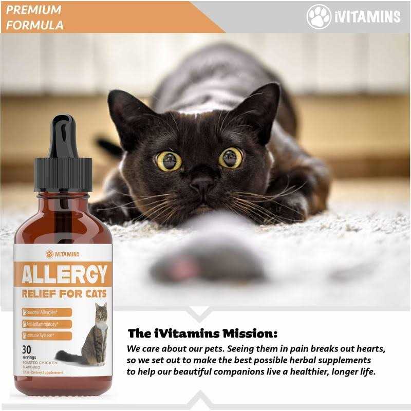iVitamins Allergy Relief for Cats Natural Support for Allergy & Itch Relief G536634