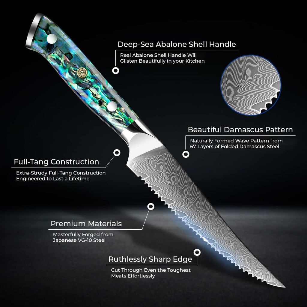 SENKEN 11-Piece Damascus Knife Block Set with Abalone Shell Handle, Japanese VG10 Steel T372