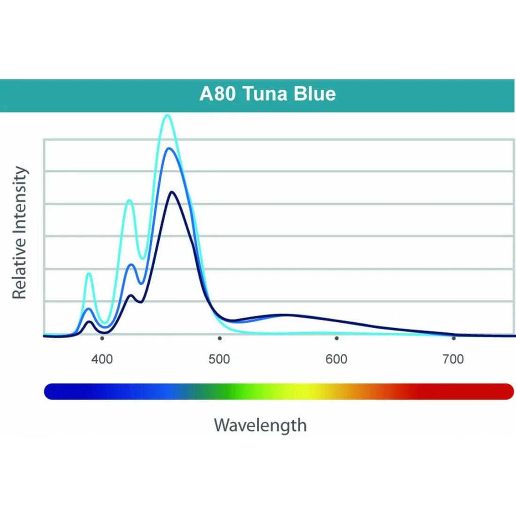 Kessil A80 Tuna Blue LED Light T28018