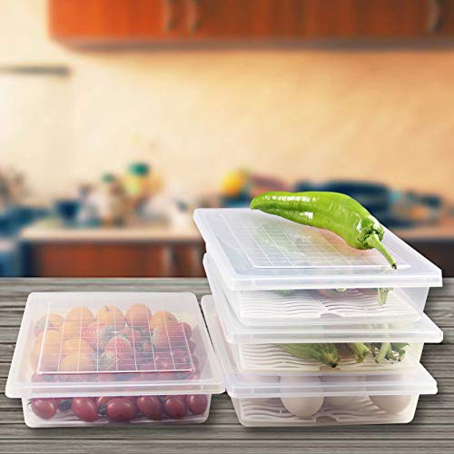 Plastic Food Storage Containers with Removable Drain Plate and Lid, Stackable, Large (4-Pack) X4503