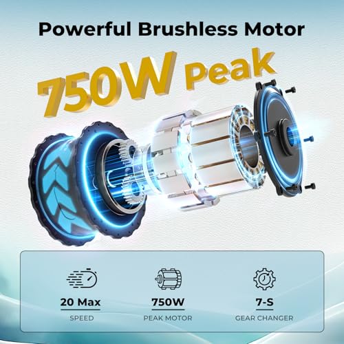 Jasion EB5 Plus Electric Bike, 750W Peak Motor, 20MPH for Adults Y42748