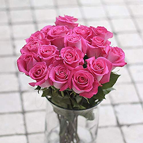 Fresh Cut 24 Red Roses Bouquet - 20" Long Stems R443599