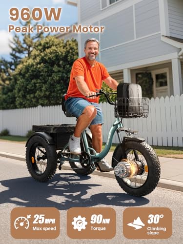 Electric Trike for Adults 960W Peak 36V 15AH Battery 20" Fat Tire with Rear Basket V89083