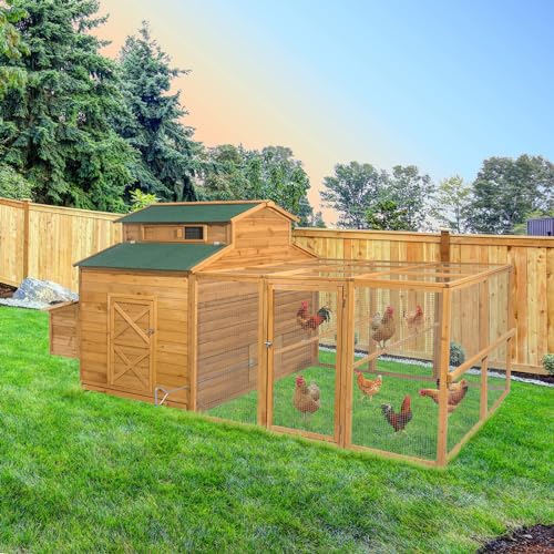 Large Chicken Coop for 6-10 Chickens with Run & Nesting Box S5640