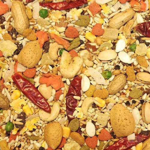 Higgins Safflower Gold Parrot Food P844902