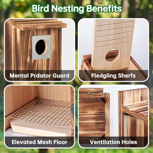 2 Pack Bird Houses for Outside with Metal Predator Guard, Carbonized Wooden Nesting Boxes G2616