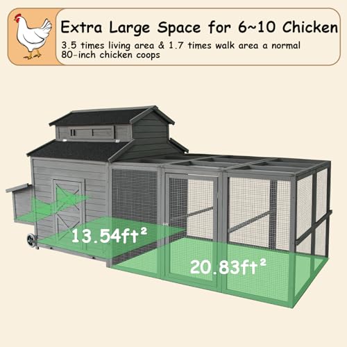 Large Chicken Coop for 6-10 Chickens with Run & Nesting Box S5640