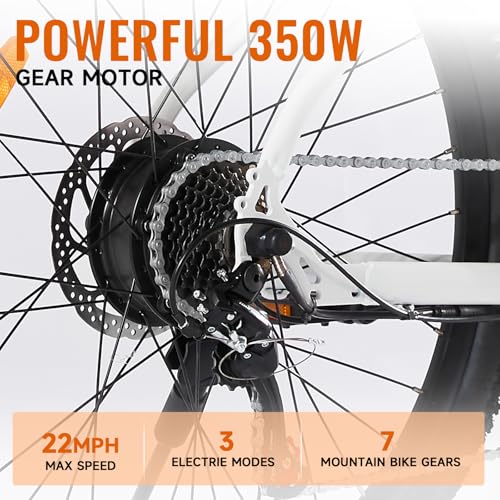 Electric Bike for Adults, 26" Mountain Bike with Removable Battery C883