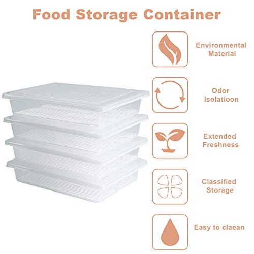 Plastic Food Storage Containers with Removable Drain Plate and Lid, Stackable, Large (4-Pack) X4503