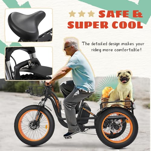 ECOTRIC Electric Tricycle for Adults, Fat Tire 750W with Removable Battery W539