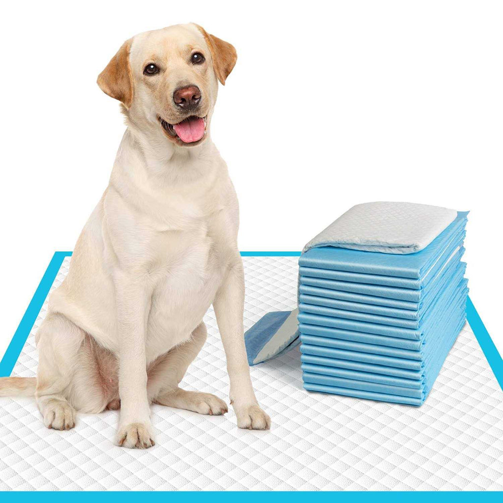 IMMCUTE Extra Large Dog Pee Pads Large Puppy Pee Training Pads Super Absorbent &amp; Leak-Proof - Pet Supplies online store