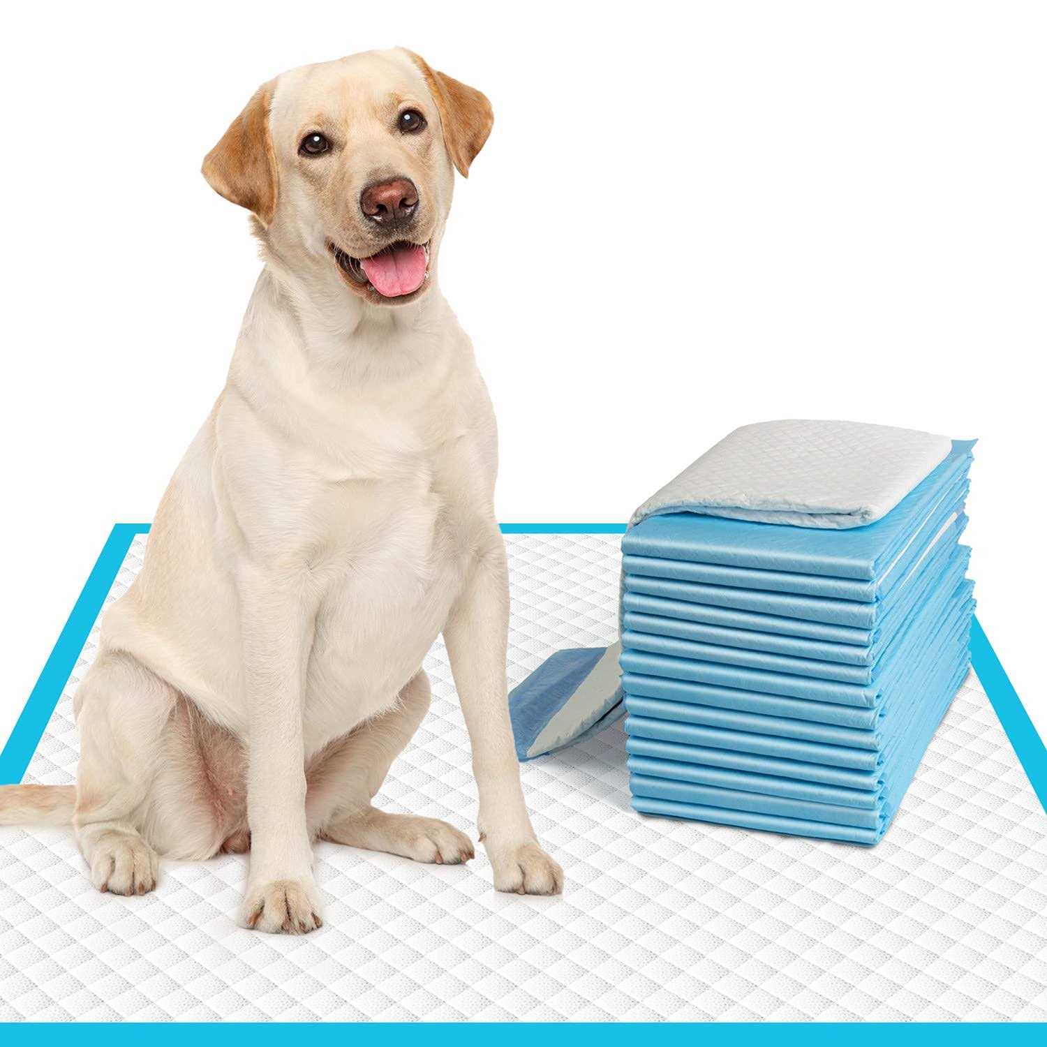 IMMCUTE Extra Large Dog Pee Pads Large Puppy Pee Training Pads Super Absorbent &amp; Leak-Proof - Pet Supplies online store