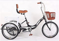Adult Tricycle - 3 Wheel Bikes for Adults Shopping Tricycle for Adult Seniors Women Men 1 Speed 3-Wheel Bike Trike with Shopping Basket Three Wheeled Recumbent Bicycle