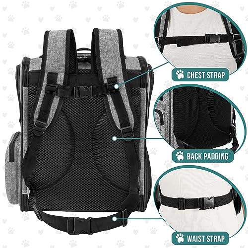 PetAmi Dog Backpack Carrier for Small Large Cat, Pet, Puppies, Ventilated Pet Hiking Backpack Travel Bag, Airline Approved Cat Backpack Carrier, Safety Back Support, Camping Biking, Max 18 lbs, Black W933