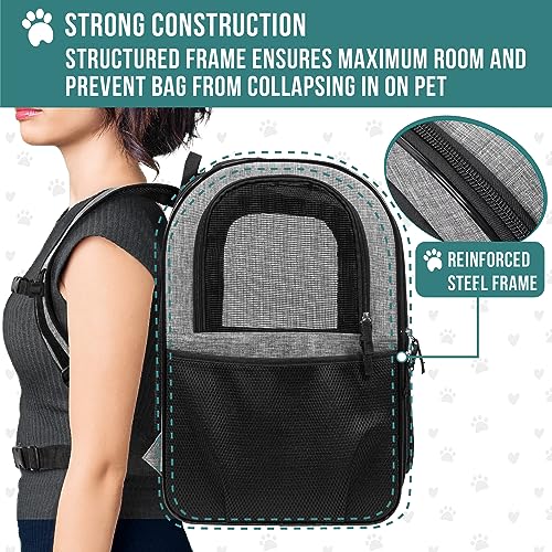 PetAmi Dog Backpack Carrier for Small Large Cat, Pet, Puppies, Ventilated Pet Hiking Backpack Travel Bag, Airline Approved Cat Backpack Carrier, Safety Back Support, Camping Biking, Max 18 lbs, Black W933