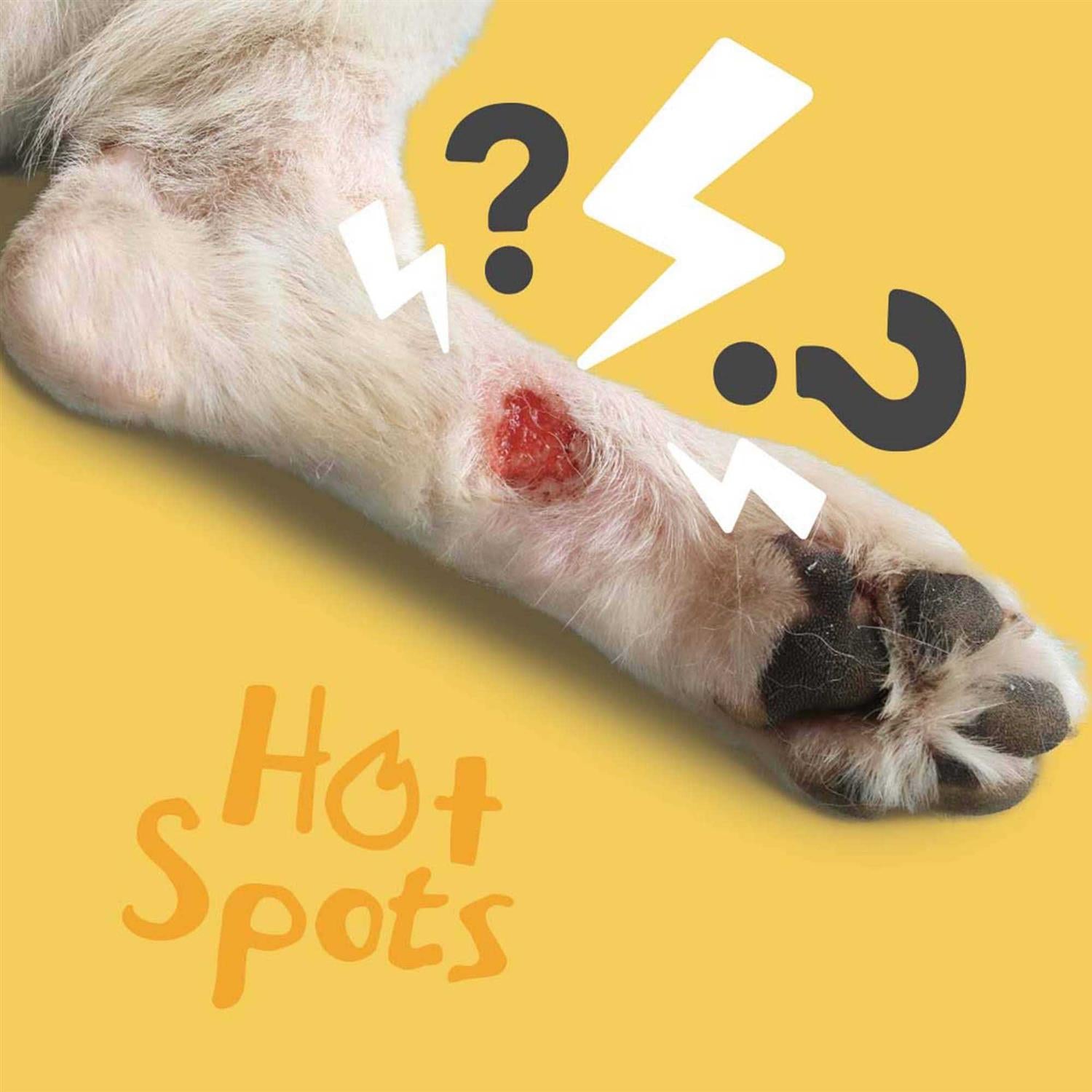 Silver Honey Hot Spot Wound Care Spray Gel for Pets J766