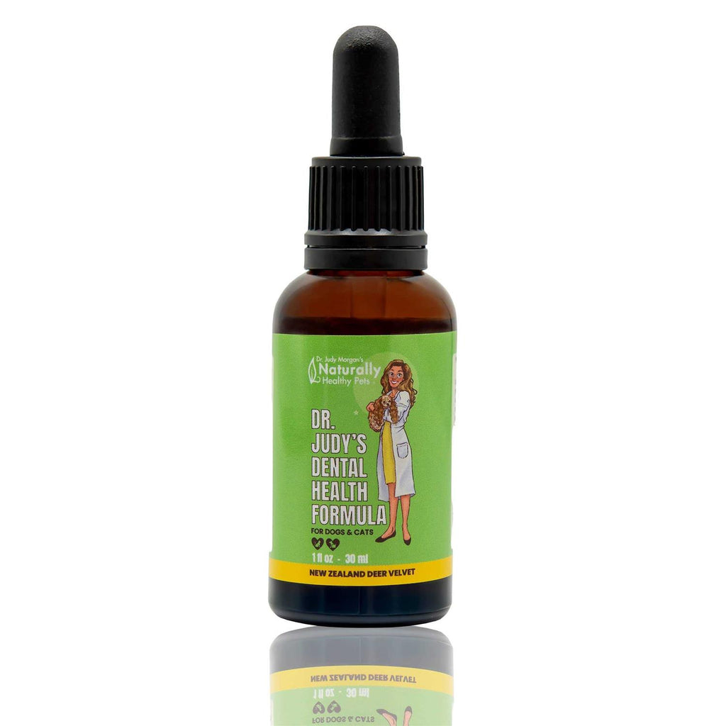Dr. Judy Morgan's Dental Health Formula for Dogs &amp; Cats - Pet Supplies online store