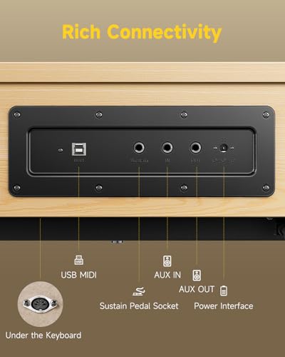 Donner OURA R300 88 Key Weighted Digital Piano, Bluetooth, Walnut Wood Color Q23942