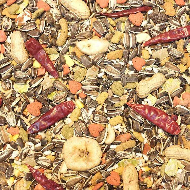 Higgins Vita Seed Parrot Food D19855