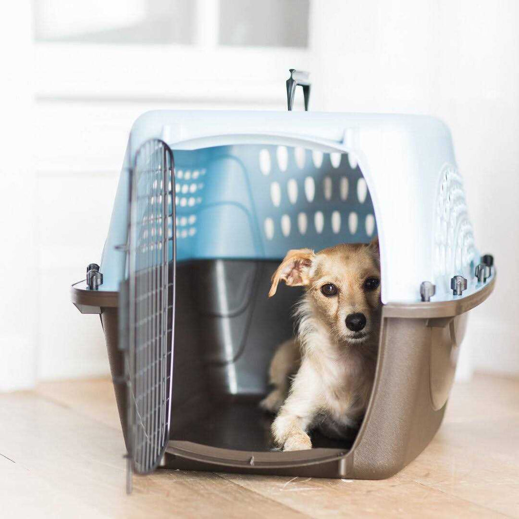 Petmate Door Top Load Kennel F897951