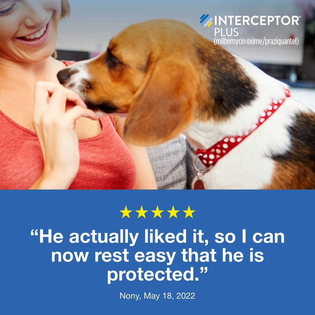 Interceptor Plus Chewable for Dogs O4689