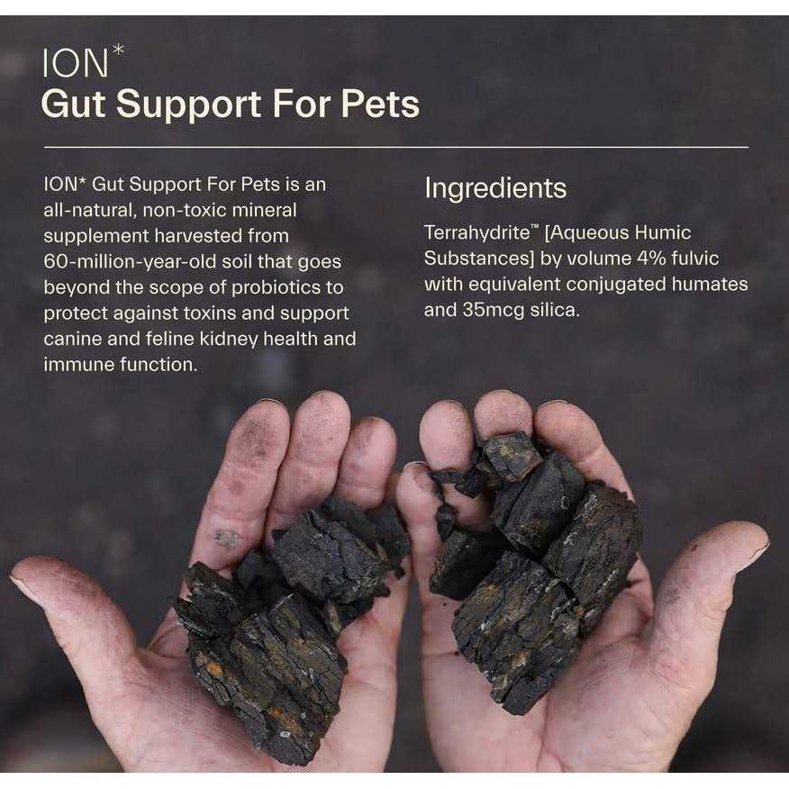 ION Gut Support For Pets Z133829