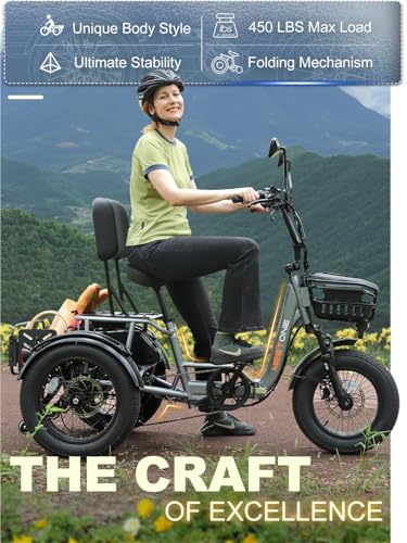 Breeze Pro Folding Electric Tricycle for Adults, 1200W 48V 20AH Fat Tire E-Trike W158192