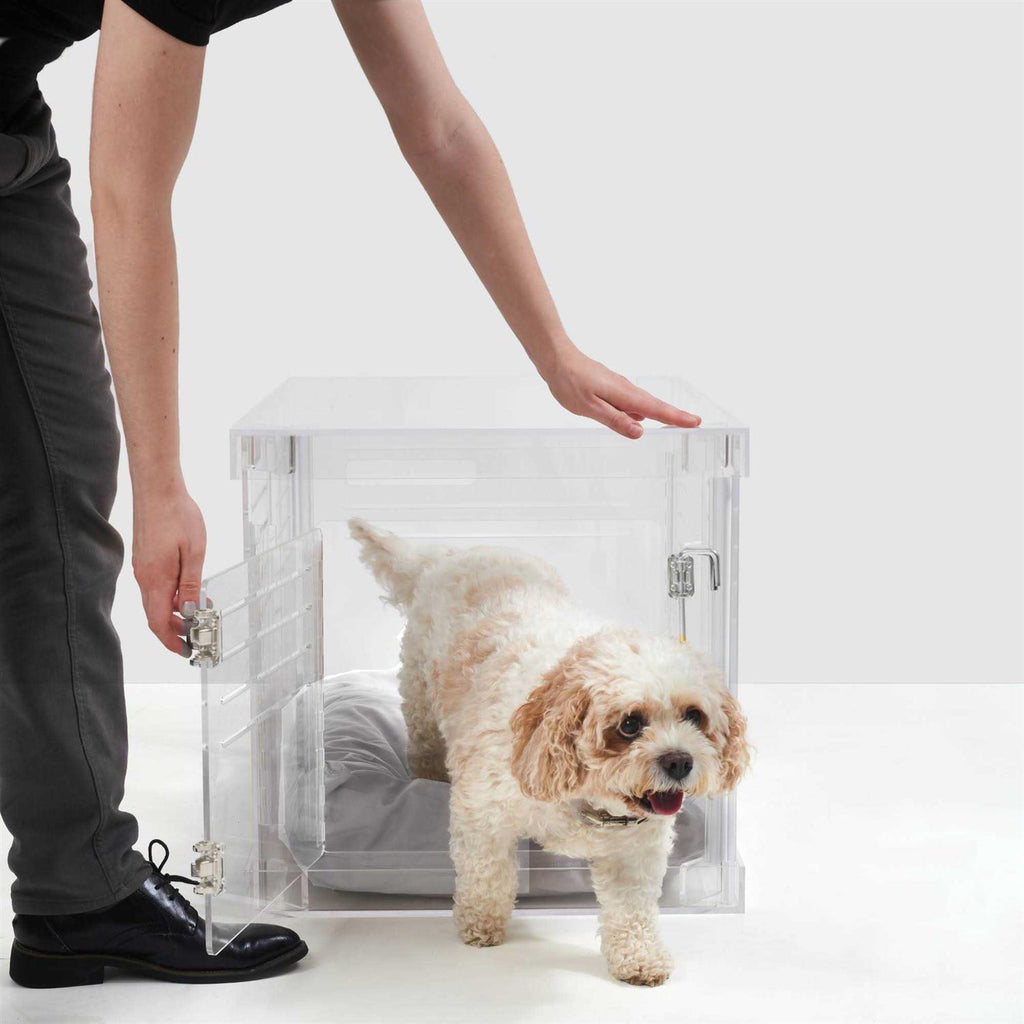 Hiddin Clear Dog Crate to Gate B3124