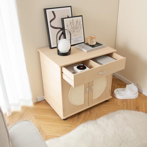 Tangkula Cat Litter Box Enclosure with Storage Shelf and Scratching Doors X93149
