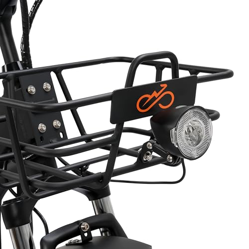 ECOTRIC Electric Tricycle for Adults, Fat Tire 750W with Removable Battery W539