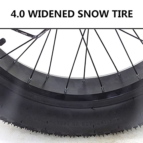Adult Mountain Tricycle 7-Speed 20 Inch Fat Tire Trike with Basket G349844