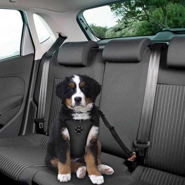 SlowTon Adjustable Dog Car Seat Belt U26764