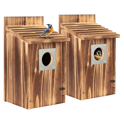 2 Pack Bird Houses for Outside with Metal Predator Guard, Carbonized Wooden Nesting Boxes G2616
