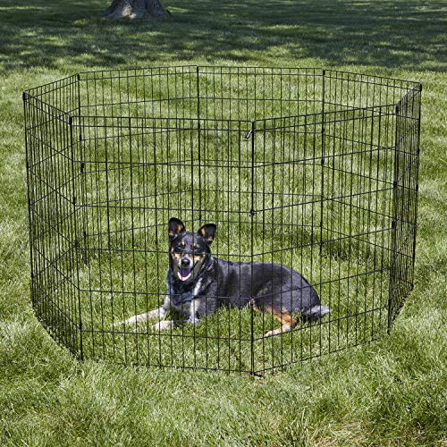 New World Folding Metal Dog Exercise Pen, 24-Inch Tall, Black E-Coated Q53206