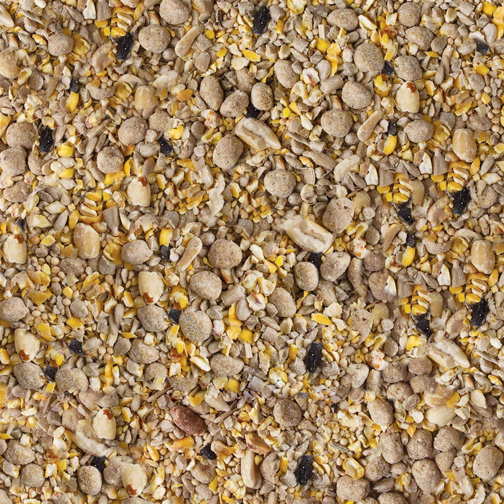 Kaytee Seed & Suet No Mess Bird Food W73579