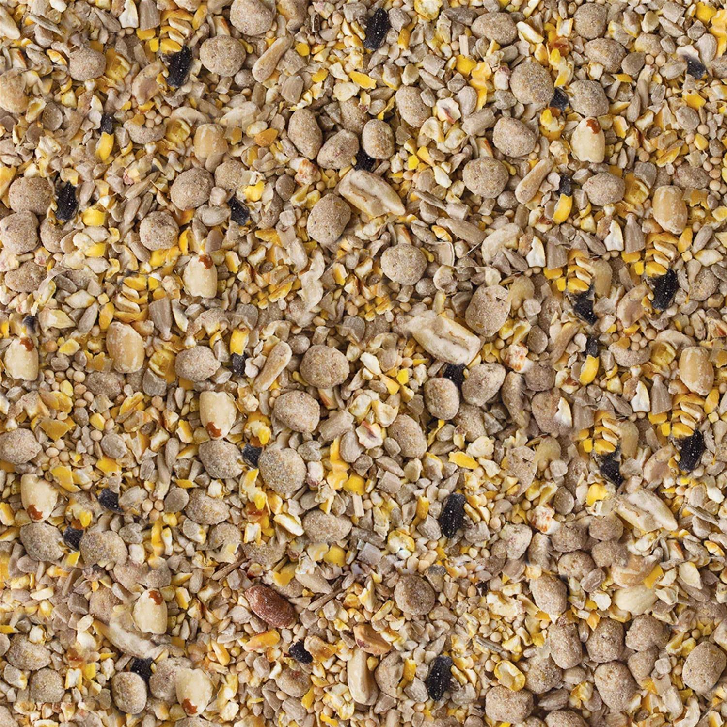 Kaytee Seed & Suet No Mess Bird Food W73579