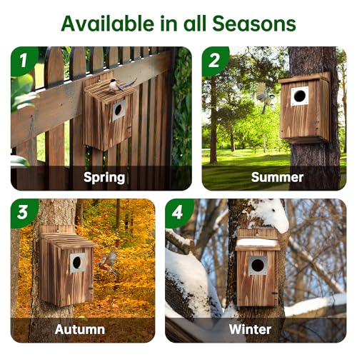2 Pack Bird Houses for Outside with Metal Predator Guard, Carbonized Wooden Nesting Boxes G2616