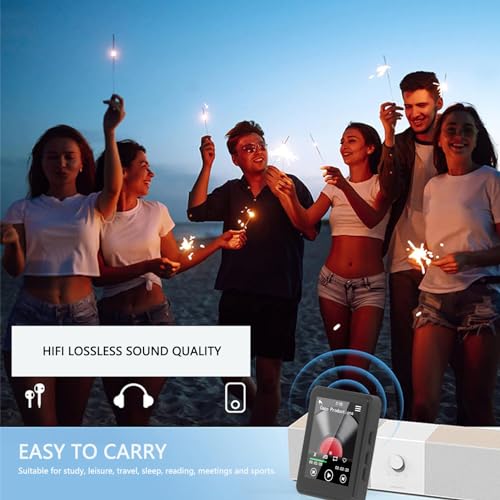 MP3 Player with Bluetooth, Built-in Speaker, 2.4 Inch Screen D345