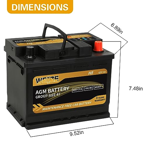 Weize Platinum AGM Battery Group 24F, 710CCA W12978
