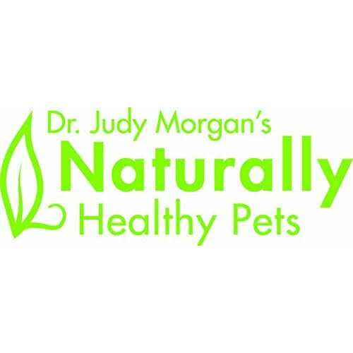 Dr. Judy Morgan's Dental Health Formula for Dogs & Cats N165451