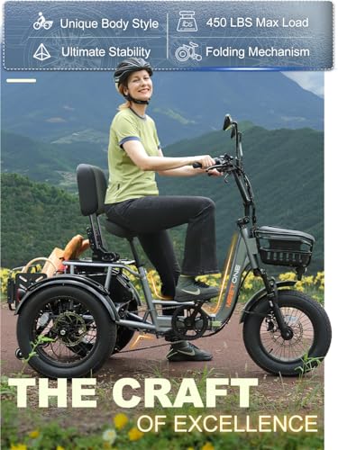 Breeze Pro Folding Electric Tricycle for Adults, 1200W 48V 20AH Fat Tire E-Trike W158192